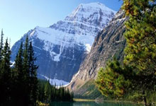 “一口井” 拉动工业增长 5.6 个点 雁江产业双轮驱动显成效